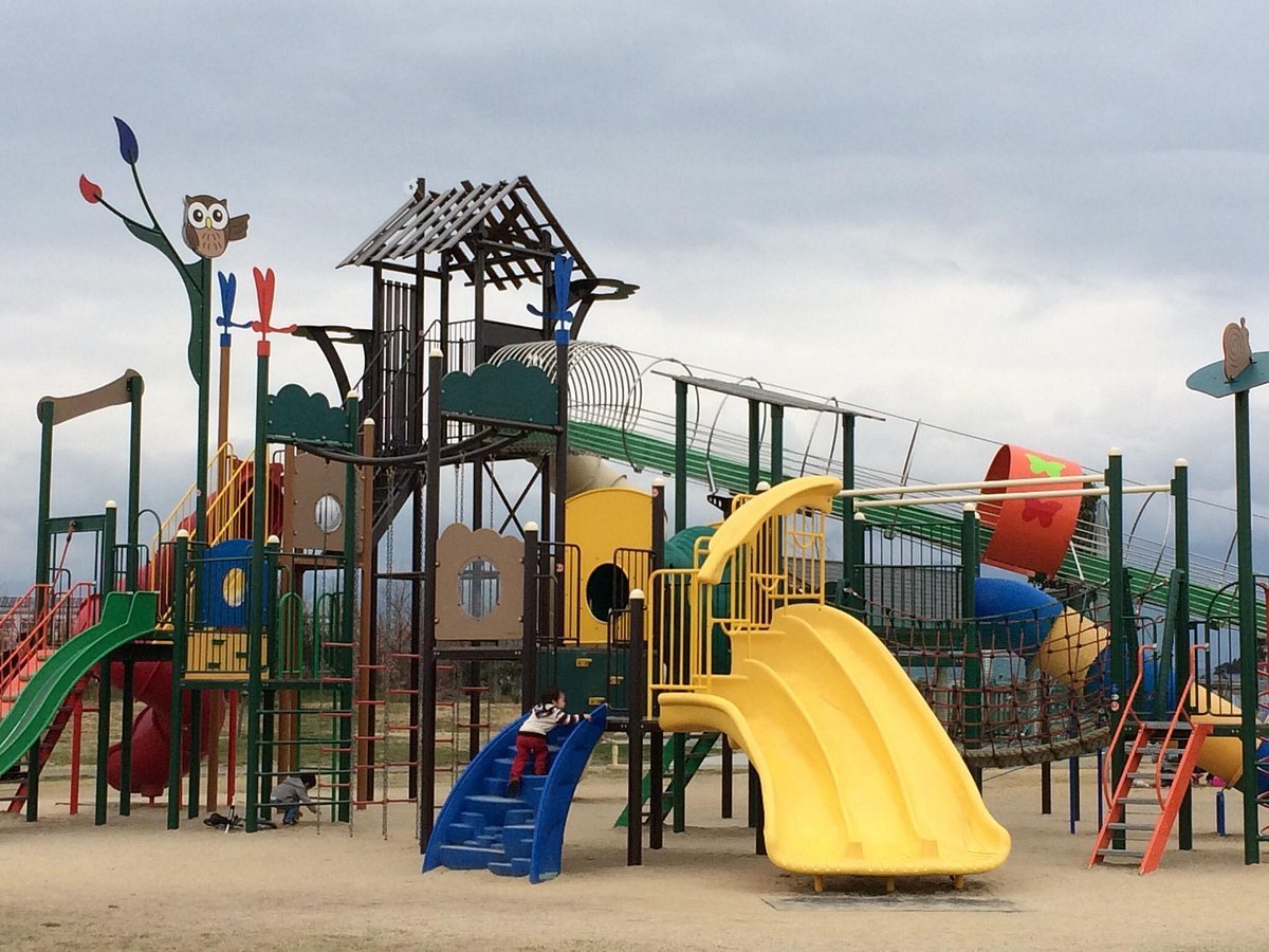 🏞️ 비와코 지구 시민의 숲(비와코 치큐 시민노모리)